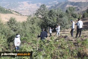 حضور دانشجویان دانشگاه فنی وحرفه ای قرارگاه جهادی شهید طهرانی مقدم استان گلستان در اردوی جهادی محرومیت زدایی روستای کشکک رامیان 2